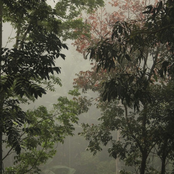 artwork photo