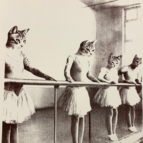 Olivier Nonon